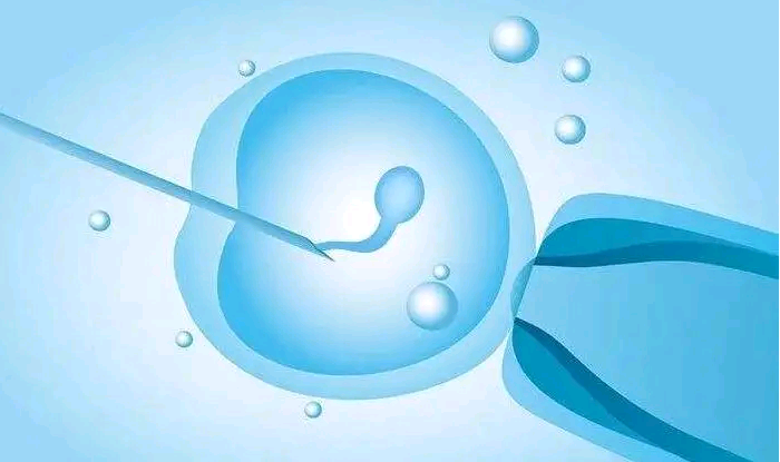 正规的供卵[紫朵朵供卵生殖中心官网],淮南试管婴儿的早期流程重要吗？