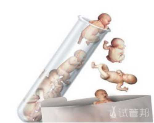 精因宝贝 骗局[中国供卵公司],美国试管婴儿囊胚移植的标准是什么?