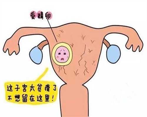 武汉365国际助孕中心靠谱么：代孕包成功价格_代孕超长方案