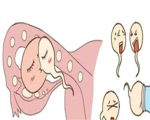 广州妇儿中心的试管婴儿怎样：中耳炎散多少钱