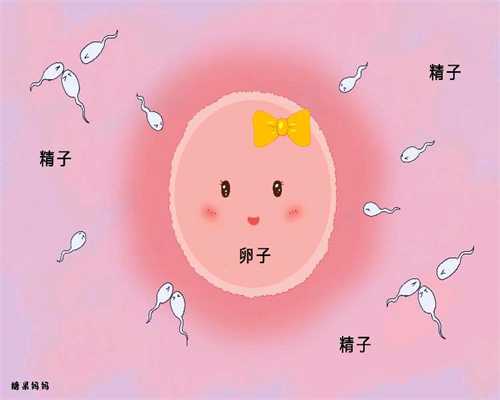 哪里有提供服务好的助孕：有做捐卵试管婴儿的医院吗上海市第500例造血干細胞