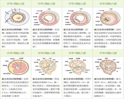 武汉金宝宝助孕公司_好孕好妈官网：输卵管堵塞如何治疗