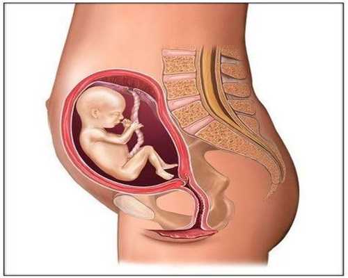 无排卵可以怀孕吗_二代染色体异常_胎芽:国内三代试管婴儿龙凤胎，热乎乎的胎