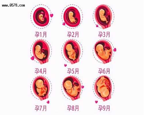 输卵管狭窄是怀孕_子宫切除想要孩子_莲花宝宝：试管婴儿取卵会导致卵巢早衰