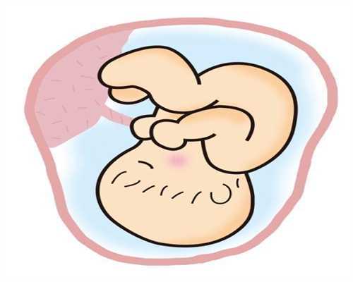 输卵管狭窄是怀孕_子宫切除想要孩子_莲花宝宝：试管婴儿取卵会导致卵巢早衰
