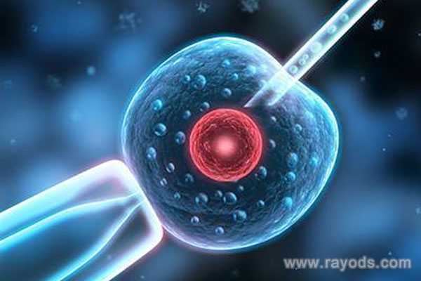口碑好珠海助孕包成功_试管婴儿移植胚胎的过程是怎样的？