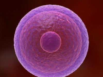 逆行射精_胎停9染色体异常_试管婴儿体外受精卵是放在哪？