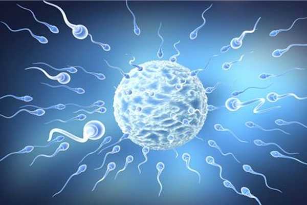 最近跟漯河姐妹聊天泰国试管助孕移植2个胚胎是不是就能怀上双胞胎?