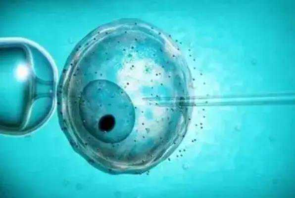青岛助孕捐卵机构 2022青岛做供卵试管最火热医院排名 ‘孕10周b超可以看男女吗