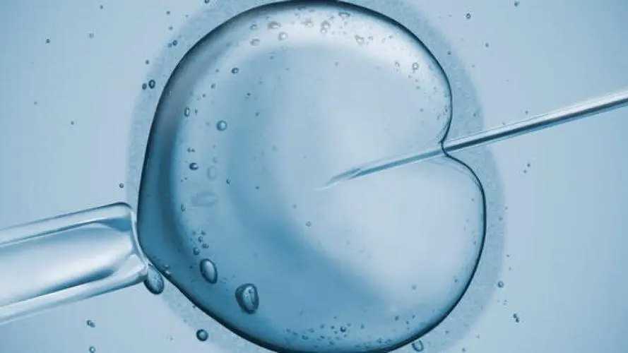 安徽全国助孕群 影响安徽供(借)卵试管婴儿成功率的因素 ‘怀孕一个月能通过