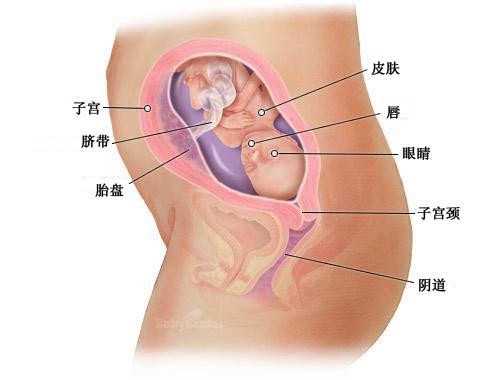 南昌捐精qq群_做试管婴儿男方取精之前要3至7天排精一次是什么意思(人工授精男
