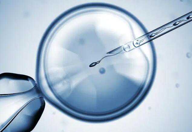 温州有助孕妈妈 2022温州做供卵试管医院排名已更新 ‘b超单图片看男女’
