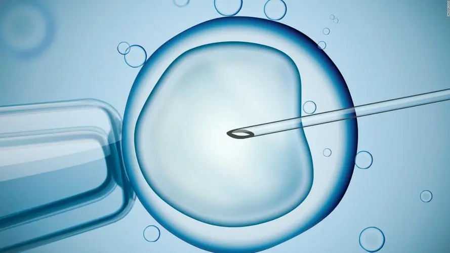 内蒙古代孕供卵包成功_试管婴儿周期的完整步骤是怎样的？